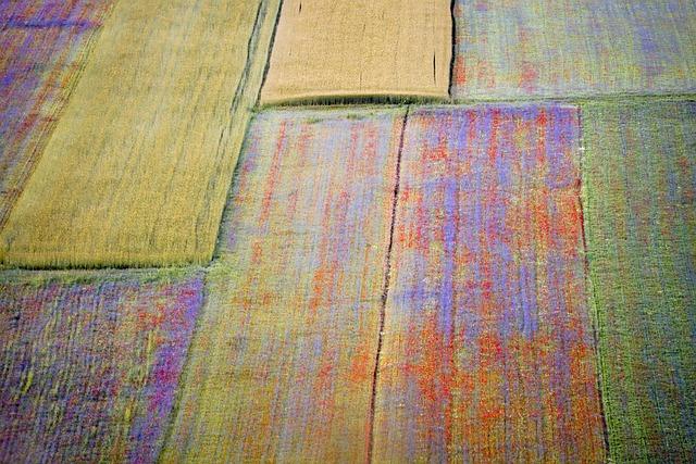 Sistemi di raffreddamento: perché il liquido antigelo è vitale anche d’estate